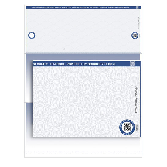 VersaCheck Secure Business Checks - 250 Blank Voucher Checks Blue Classic Check On Top